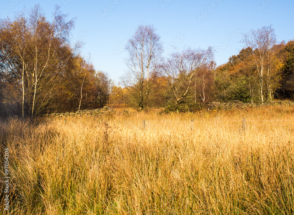 Autumn colours at White Copice, Lancashire, UK Autumn colours at White Copice, Lancashire, UK