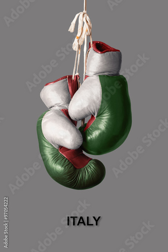 Boxing Gloves in the Color of Italy