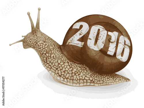 Snail 2016 