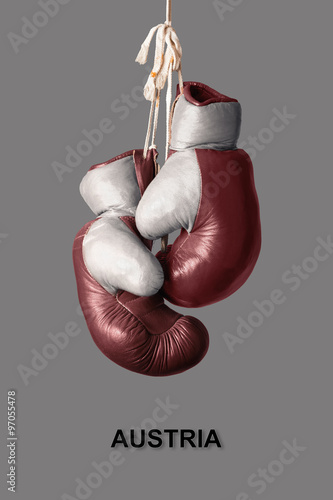 Boxing Gloves in the Color of Austria
