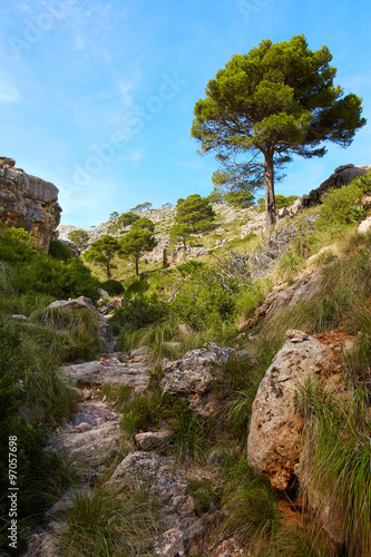 Torrent de les Agulles, Mallorca, Spanien