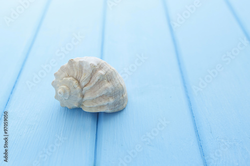 Border pattern of white sea shells on blue wooden table photo