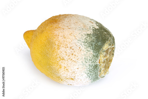 Citron moisi photo