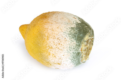 Photos Citron moisi