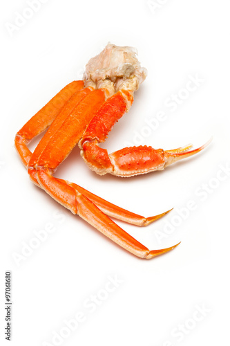 Snow crab (Chionoecetes opilio) or Tanner crab clusters isoloted on a white studio background.
