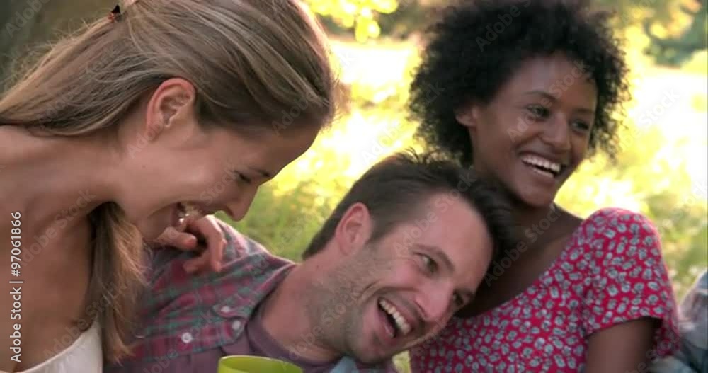 Four friends relax together drinking in the countryside Four friends relax together drinking in the countryside