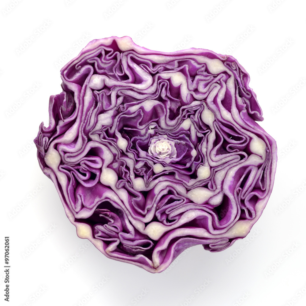 Red Cabbage / High resolution close up of red cabbage on white background shot in studio. Red Cabbage / High resolution close up of red cabbage on white background shot in studio.