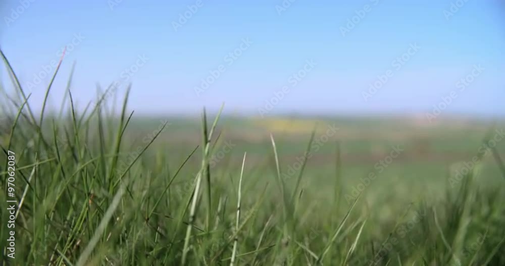 Pulled Focus Shot Of Summer Farm Fields With Crops In UK Pulled Focus Shot Of Summer Farm Fields With Crops In UK