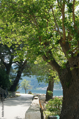 Promenade in Dobrota  Motenegro 