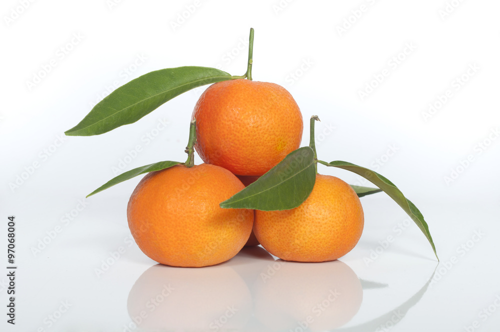 tangerines on a white background with reflection tangerines on a white background with reflection