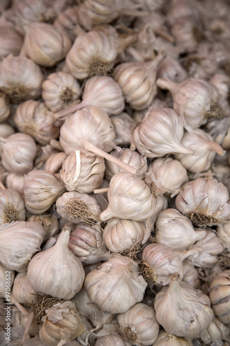 Garlic on the market