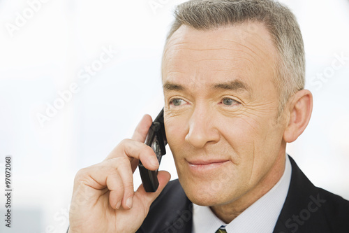 Mature businessman using a cellular telephone