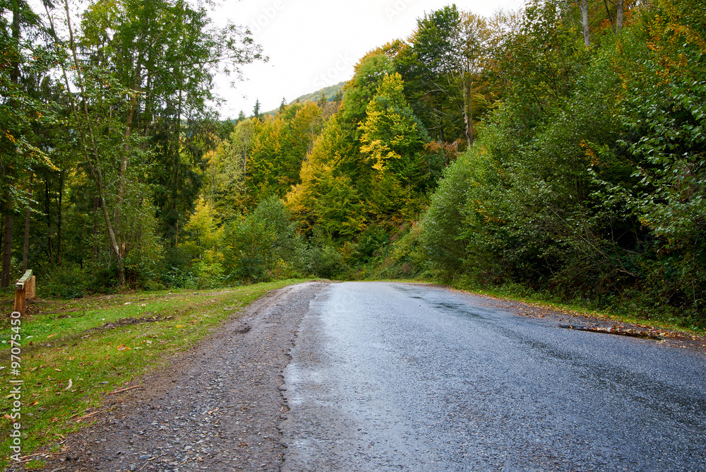 Fototapeta premium Mountain road lanscape with clouds and colorful trees