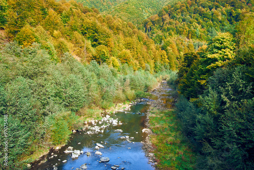 Mountain river in deep canyon with autumn colorful trees