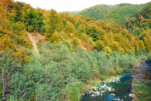 Mountain river in deep canyon with autumn colorful trees photo