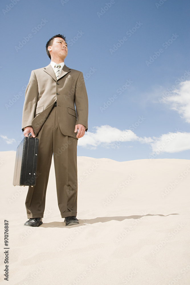 Businessman in the desert