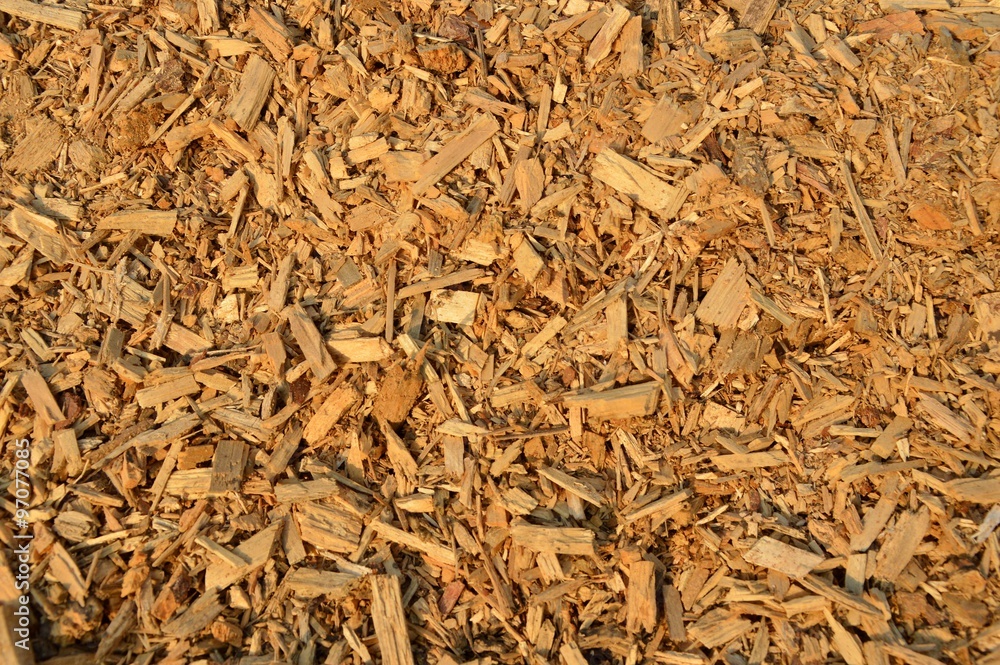 Background from sawdust Background from sawdust