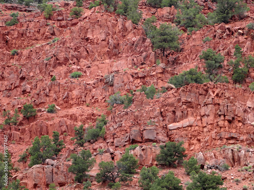 Red rocks cliff with trees