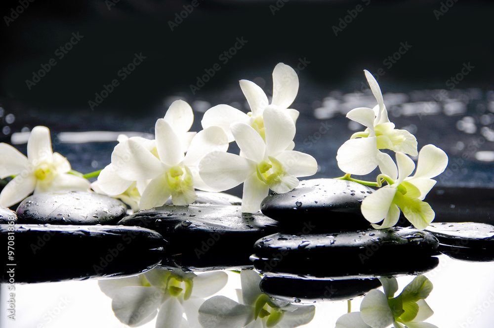 Still life with white orchid on black pebbles 