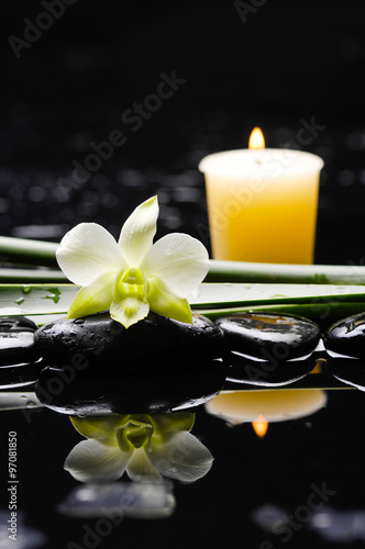 Beautiful orchid with candle, plant, and therapy stones 