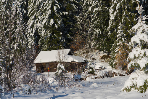 small cabin covered with fresh snow © .shock