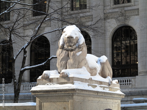 New York Public Library Lion in Winter