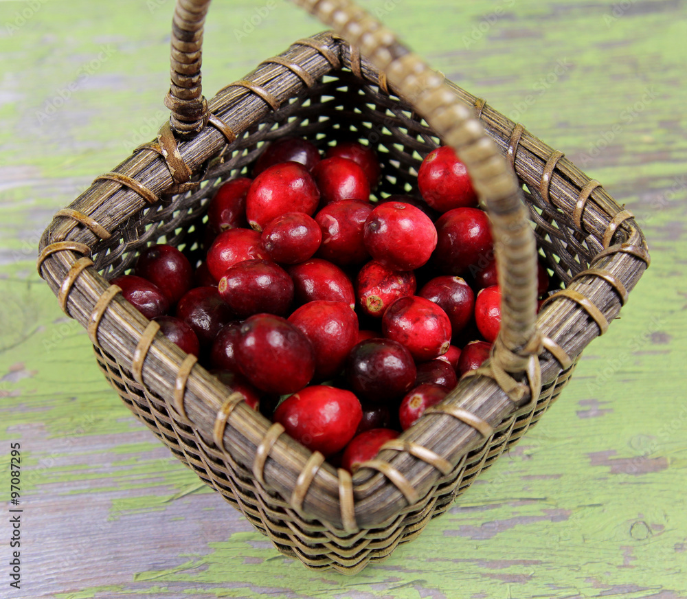 Berries Berries