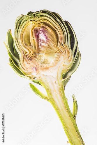 artichoke isolated on white background