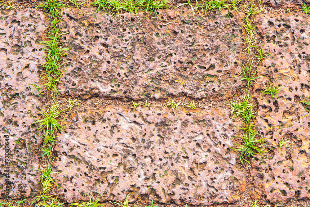 Green grass between brick pavement. Green grass between brick pavement.