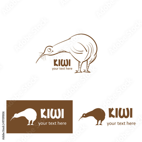 Cartoon kiwi bird logo. Vector image.