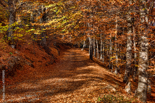 Fall nature, Bulgaria