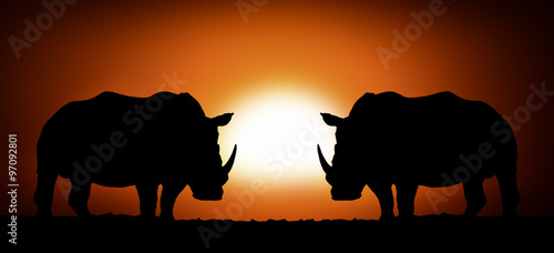 Rhino on sunset background