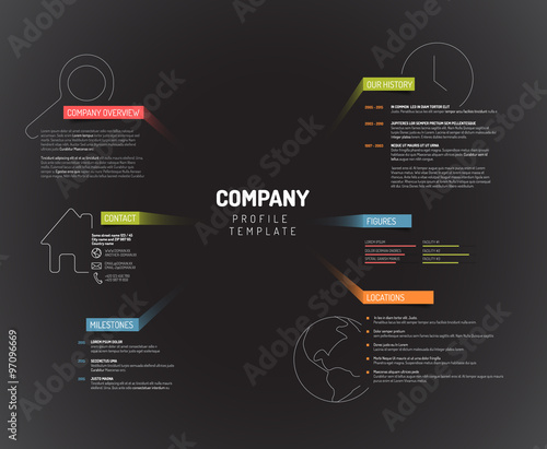 Vector Company infographic overview design template