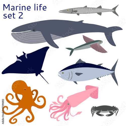 Marine life. Set of isolated objects.