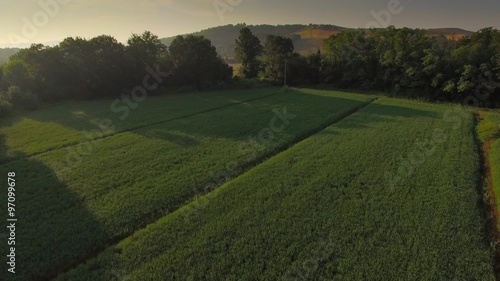 Camera flies over trees and reveals the farm during sunrise in Tuscany photo