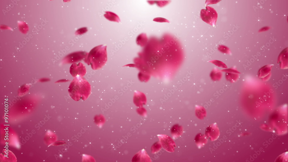 Camera passing through the mass of hovering in the air rose petals Camera passing through the mass of hovering in the air rose petals