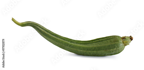 Angled Loofah Sponge gourd or Angled Gourd on isolated white background