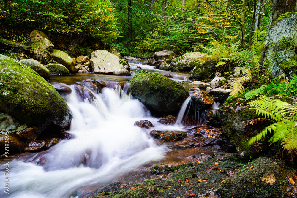 Obraz premium Magic autumn waterfall and forest