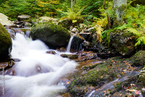 Magic autumn waterfall and forest