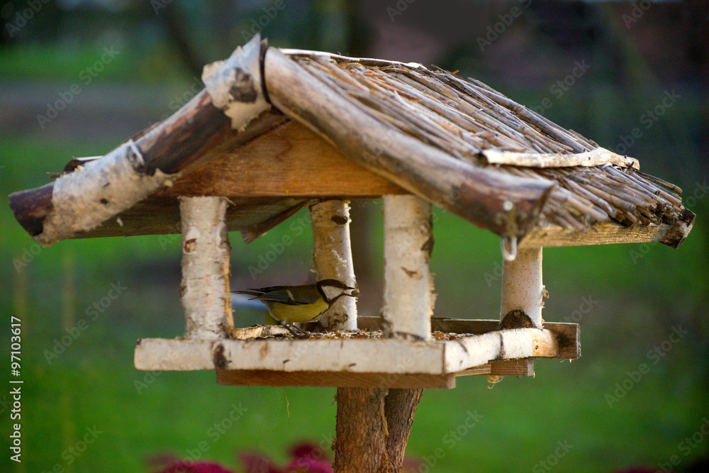 Fototapeta premium Vogelhaus