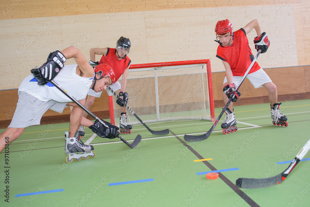 Obraz premium hockey game