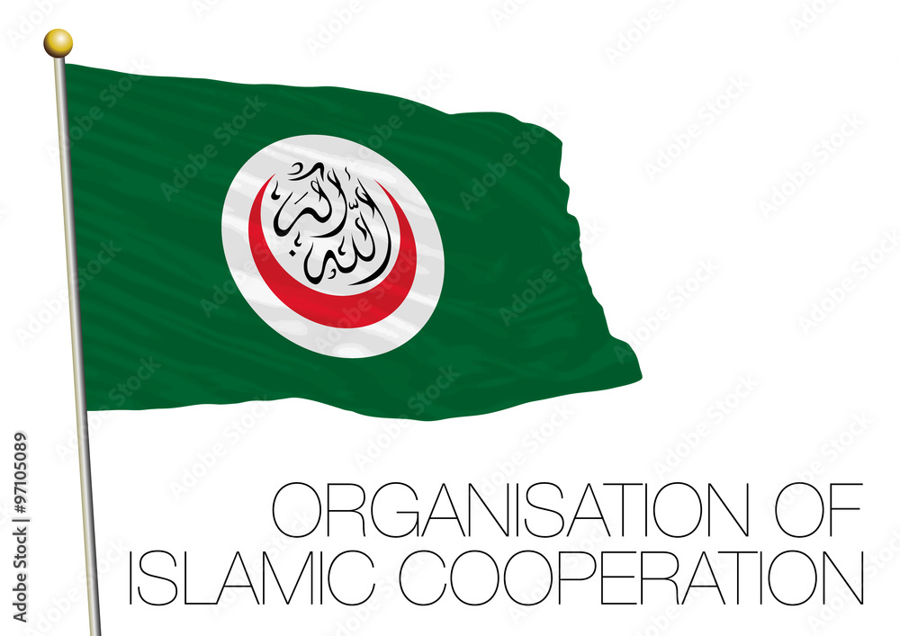 organization of islamic cooperation flag Stock Vector | Adobe Stock