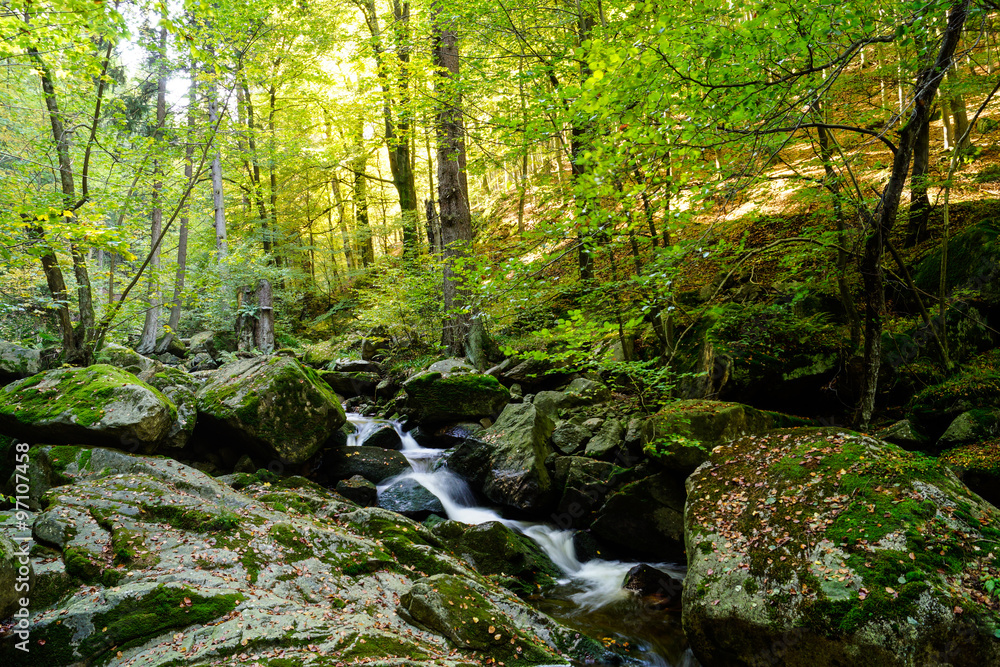 Magic Harz landscape in autum