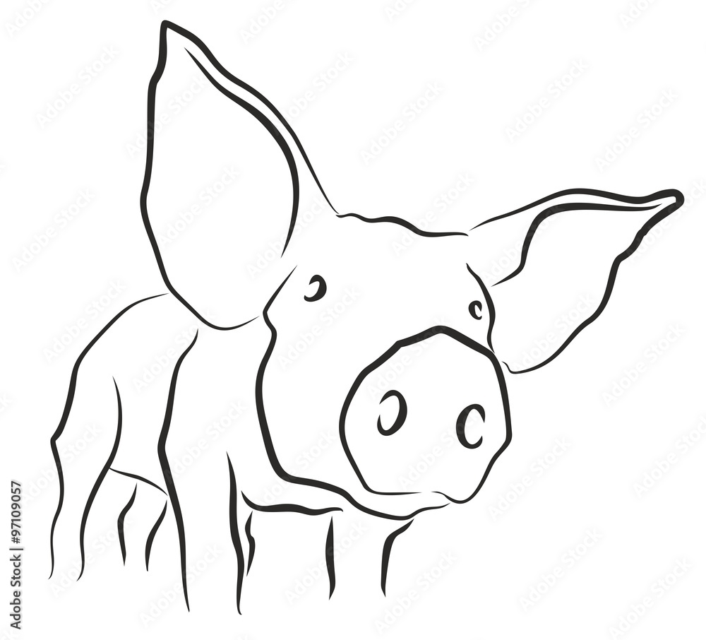 Naklejka premium Sketch of a pig. 