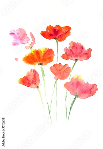 Fototapeta Naklejka Na Ścianę i Meble -  Beautiful stylized red poppy flowers on white, Acrylic color painting