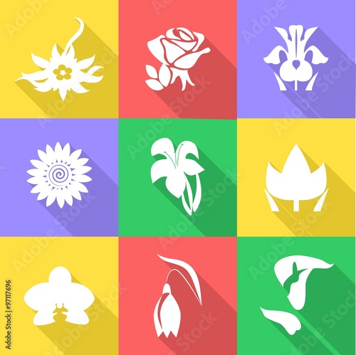 the flowers icons