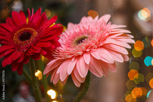 gerbera flowers with blur effect