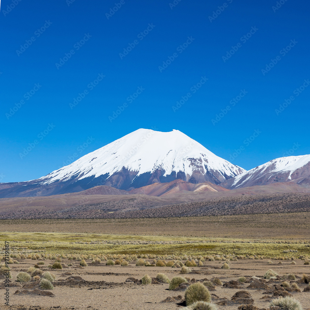 Parinacota volcano. High Andean landscape in the Andes.