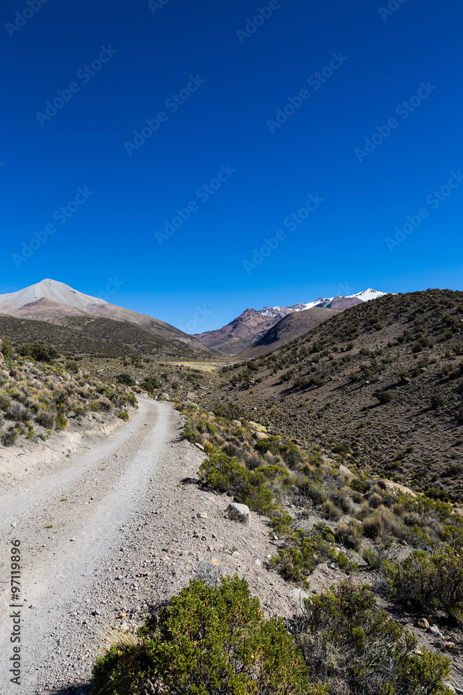 Small path in the Andes. Sajama Park, Bolivia Small path in the Andes. Sajama Park, Bolivia