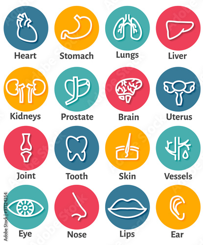 Icon Set of Human Organs